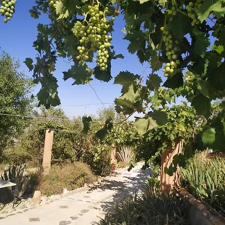 Loma Negra